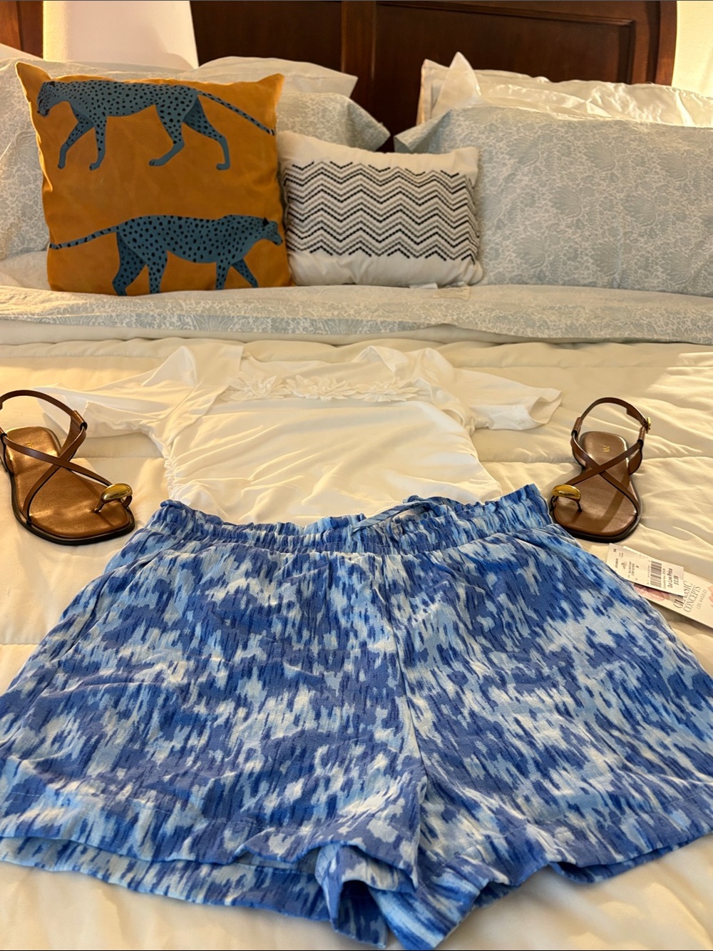 Classic Blue Patterned Women Shorts